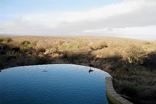 Kenia (114)